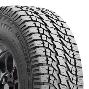 Accelera Tire 
