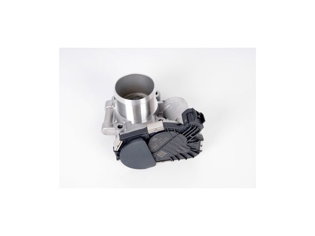 Fuel Injection Throttle Body (ACDelco 217-3431)