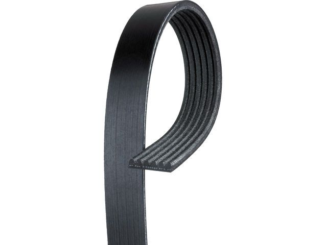 Accessory Drive Belt for 2000-2003 Dodge Dakota (ACDelco 6K882)