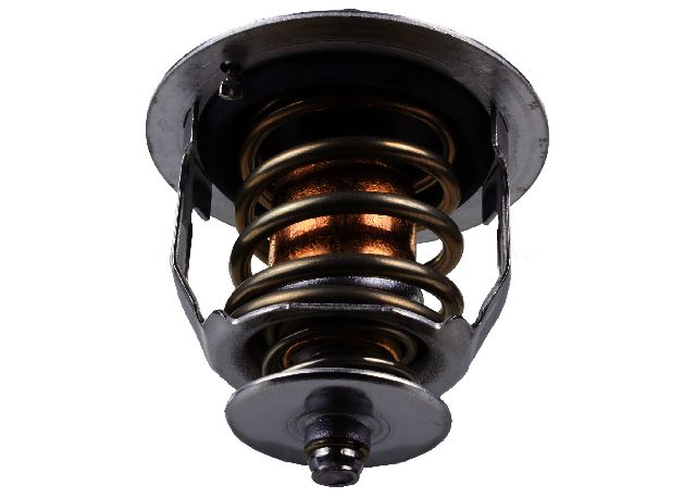Engine Coolant Thermostat (Aisin THT-019)