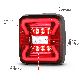 ANZO Tail Light 