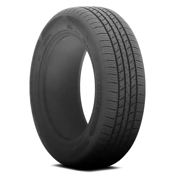 Arroyo Tire 