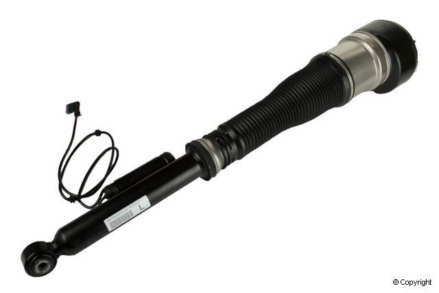 Bilstein Air Suspension Strut  Rear Left 