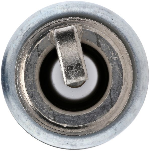 Spark Plug (Bosch 8110)