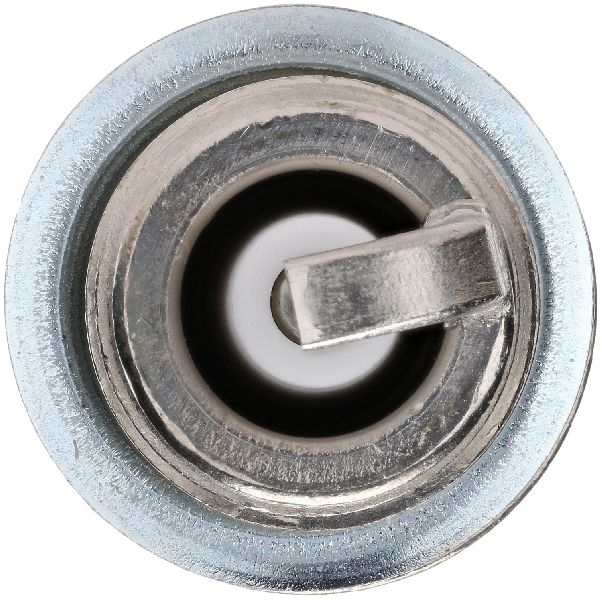 Spark Plug - Exhaust Side (Bosch 8100)