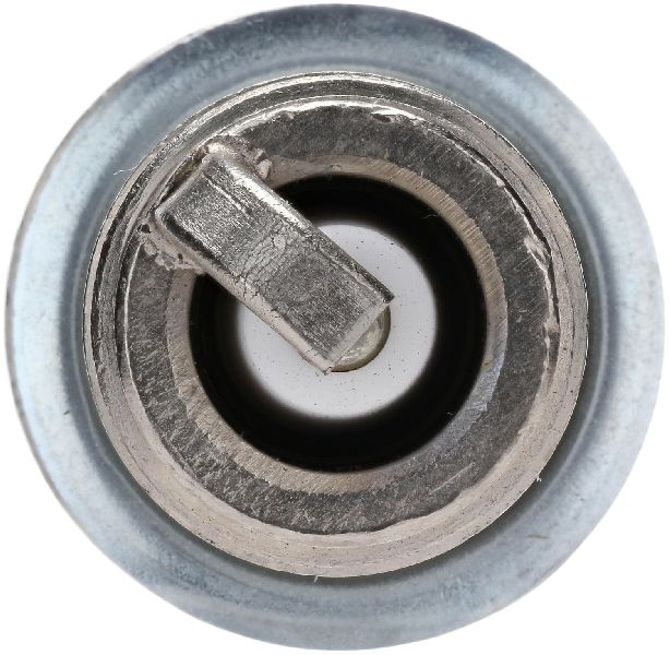 Spark Plug (Bosch 8101)