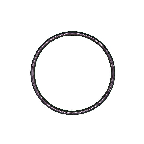 Engine Coolant Thermostat Seal (Calorstat J02)
