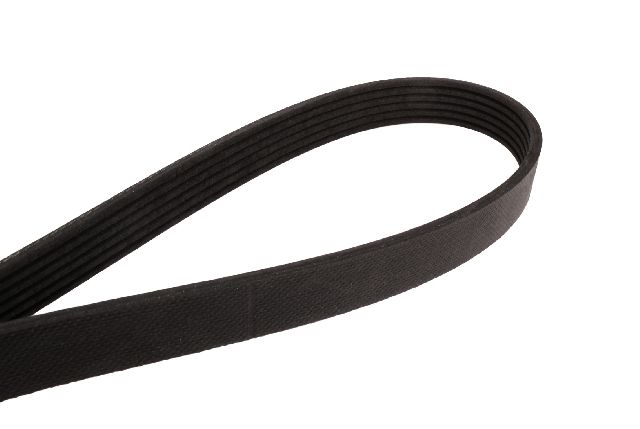 Continental Serpentine Belt  Fan 