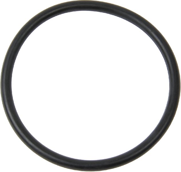 Engine Coolant Thermostat Seal (CRP 16055300)