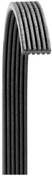 Serpentine Belt - Main Drive for 2003-2006 Porsche Cayenne (Dayco 6071161)