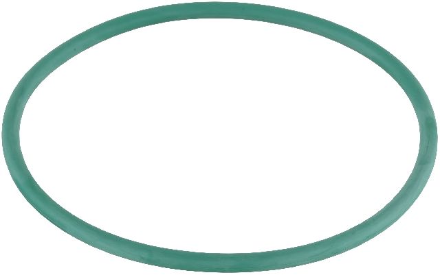 Fuel Pump Tank Seal (Delphi PN9008)