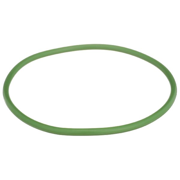 Fuel Pump Tank Seal (Delphi FA10029)