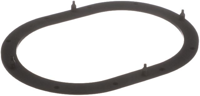 Fuel Pump Tank Seal (Delphi FA10039)