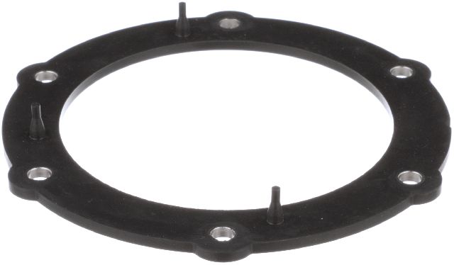 Fuel Pump Tank Seal (Delphi FA10030)
