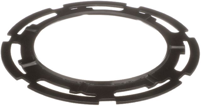 Fuel Tank Lock Ring (Delphi FA10027)