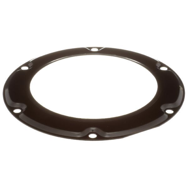 Fuel Tank Lock Ring (Delphi FA10037)