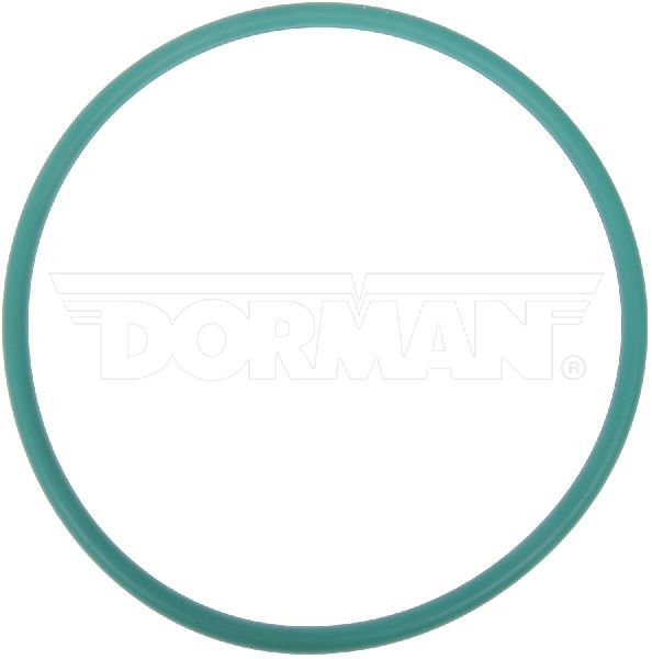 Fuel Pump Tank Seal (Dorman 911-245)