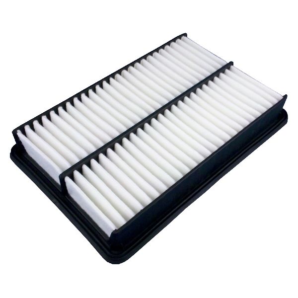 Ecogard Engine Air Filter 