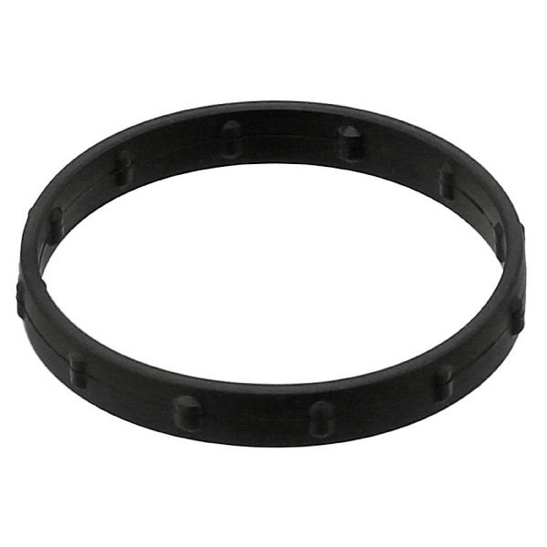 Engine Water Pump Seal Ring (Elring 048.350)