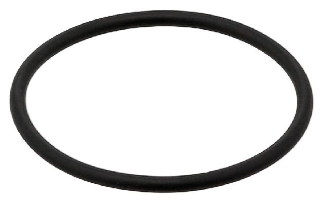 Engine Coolant Thermostat Seal (Elring 382.550)