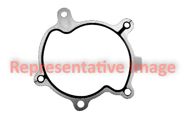 Engine Water Pump Gasket (Elring 755.660)