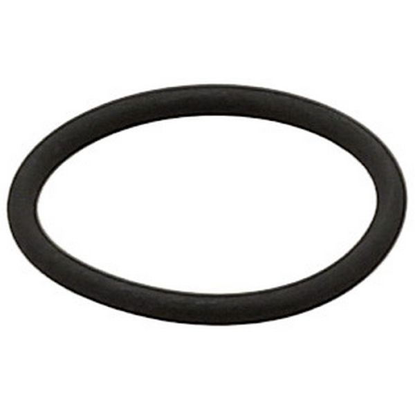 Fuel Injection Nozzle Holder O-Ring (Elring 219.950)