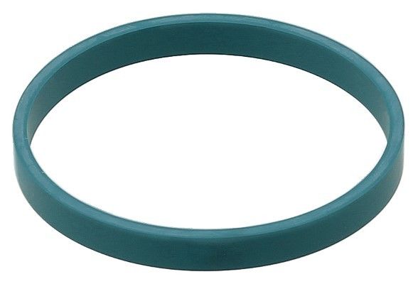 Engine Intake Manifold Gasket (Elring 352.990)