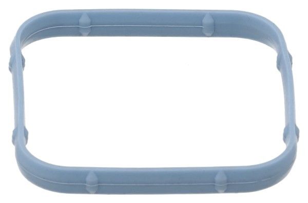 Engine Intake Manifold Gasket (Elring 907.570)