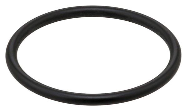 Engine Coolant Thermostat Seal (Elring 761.109)