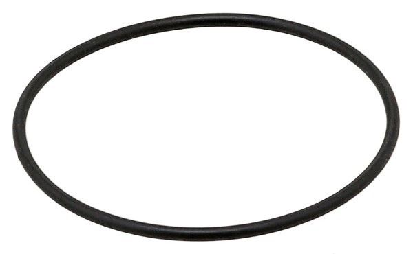 Spark Plug Tube Seal (Elring 393.830)