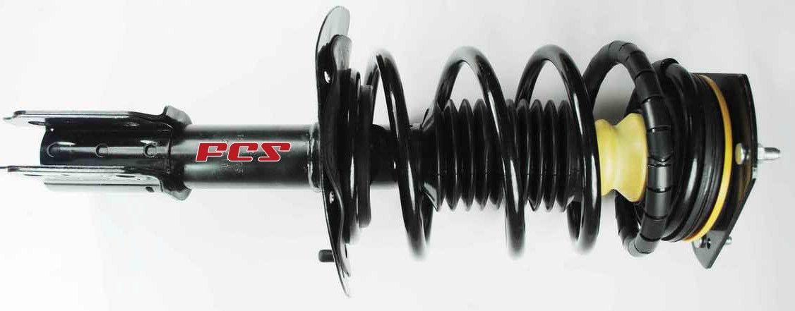 Suspension Strut and Coil Spring Assembly