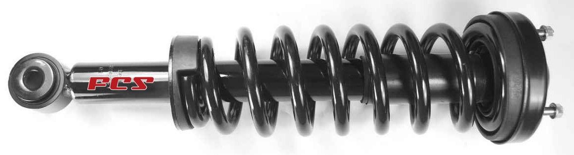 2008, 2007, 2006, 2005, 2004 Ford F-150 Suspension Strut and Coil Spring Assembly