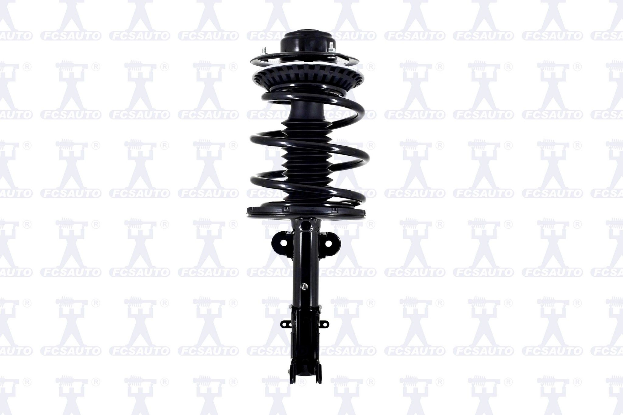 Suspension Strut and Coil Spring Assembly
