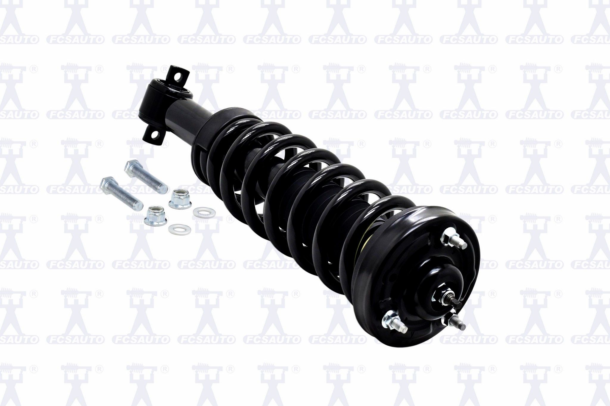 2020, 2019, 2018, 2017, 2016, 2015 Ford F-150 Suspension Strut and Coil Spring Assembly