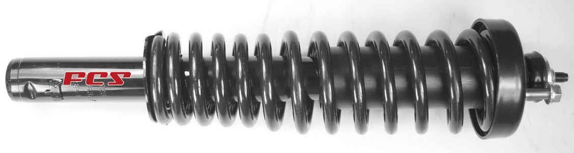 Suspension Strut and Coil Spring Assembly
