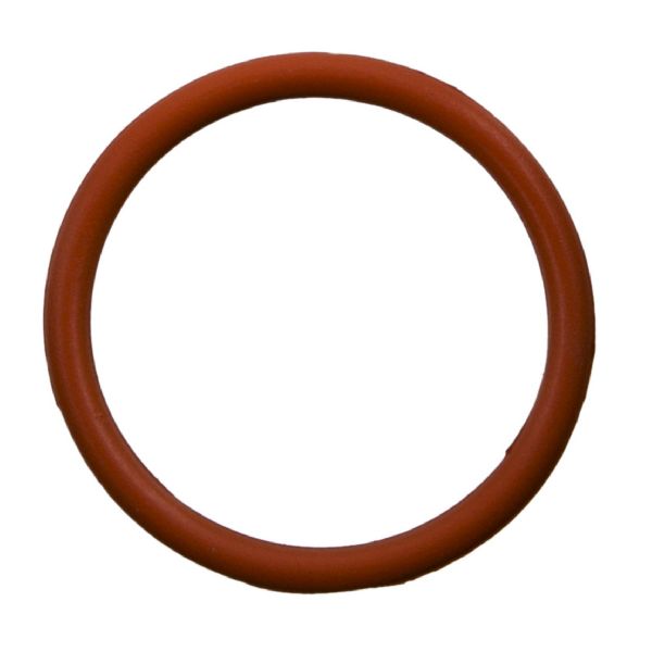 Engine Coolant Bypass Pipe O-Ring (FelPro 36111)