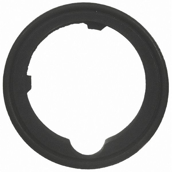 Engine Coolant Thermostat Seal (FelPro 35480)