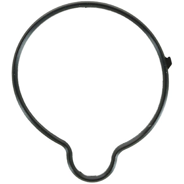 Engine Coolant Thermostat Seal (FelPro 35981)