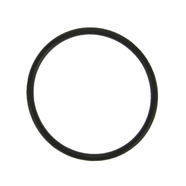 Engine Coolant Thermostat Seal (FelPro 35991)