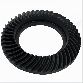 Ford Performance Differential Ring and Pinion Rear