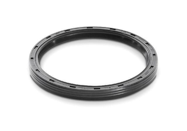 Ford Performance Engine Crankshaft Seal  Rear 