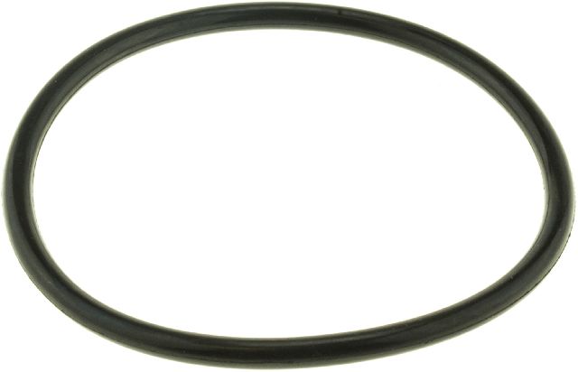 Engine Coolant Thermostat Seal (Gates 33613)