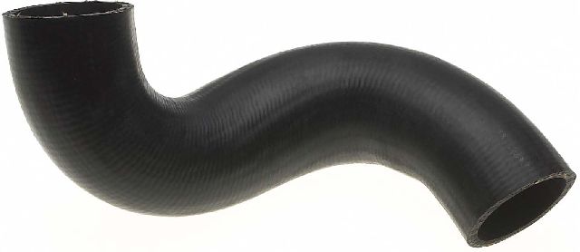 Radiator Coolant Hose - Lower for 2005-2010 Dodge Dakota (Gates 23044)