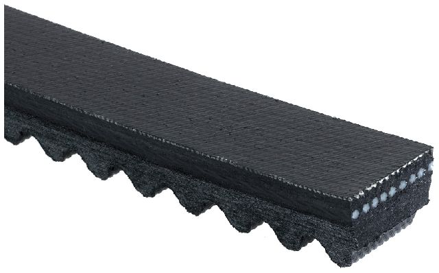 Accessory Drive Belt - Fan for 1981 Peterbilt 352 (Gates TR22588)