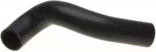 Radiator Coolant Hose - Lower for 2005-2011 Dodge Dakota (Gates 23042)