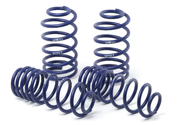H&R Special Springs LP Coil Spring Lowering Kit 