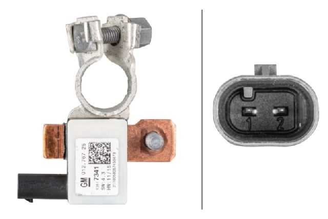 Intelligent Battery Sensor (IBS) (Hella 012767701)