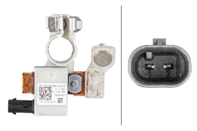 Intelligent Battery Sensor (IBS) (Hella 010557481)