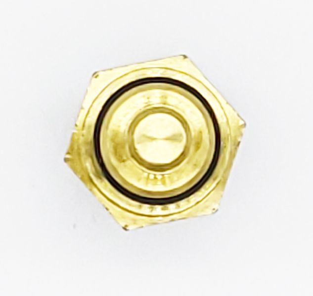Engine Coolant Temperature Sensor (Holstein 2CTS0039)