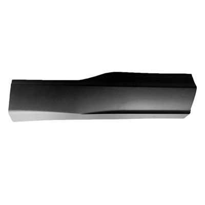 Replacement Door Molding  Rear Right 
